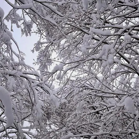 Apartmán Adventure Panorama 